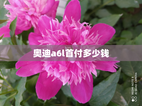 奥迪a6l首付多少钱