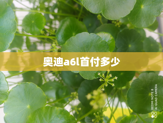 奥迪a6l首付多少