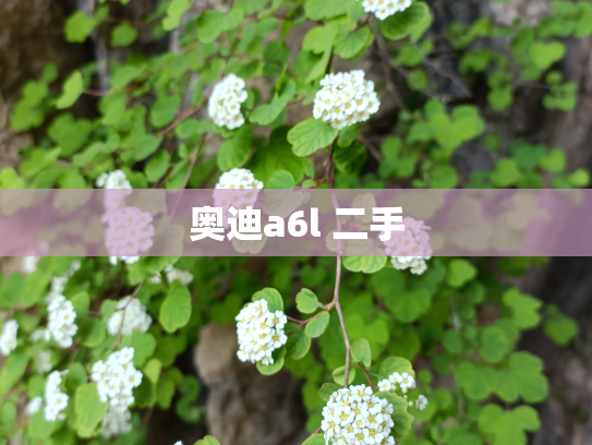 奥迪a6l 二手