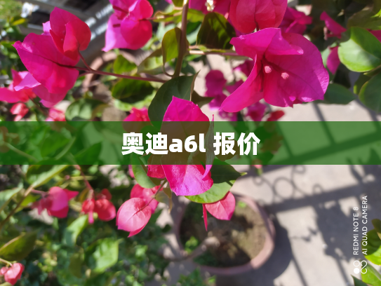 奥迪a6l 报价