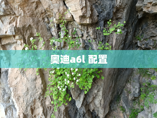 奥迪a6l 配置
