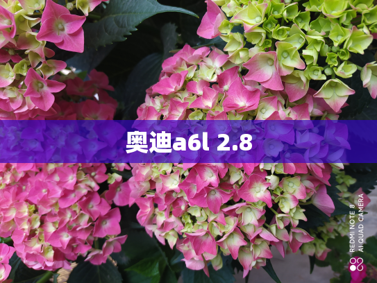 奥迪a6l 2.8