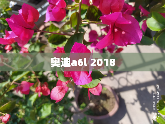 奥迪a6l 2018