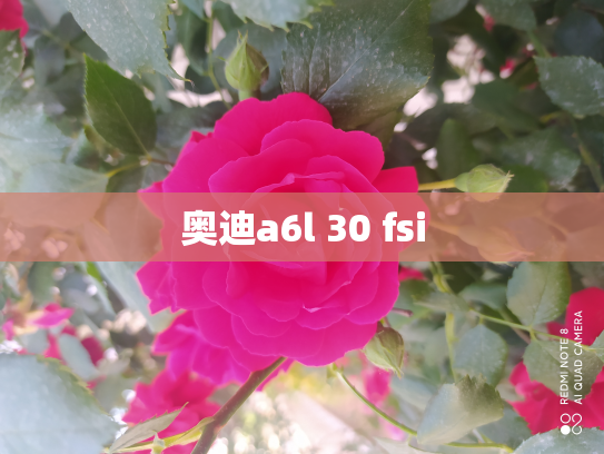 奥迪a6l 30 fsi