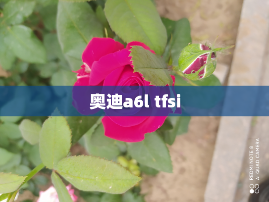 奥迪a6l tfsi