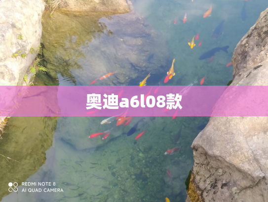 奥迪a6l08款