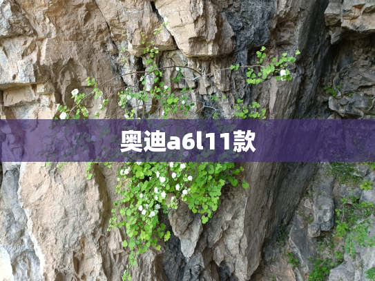 奥迪a6l11款