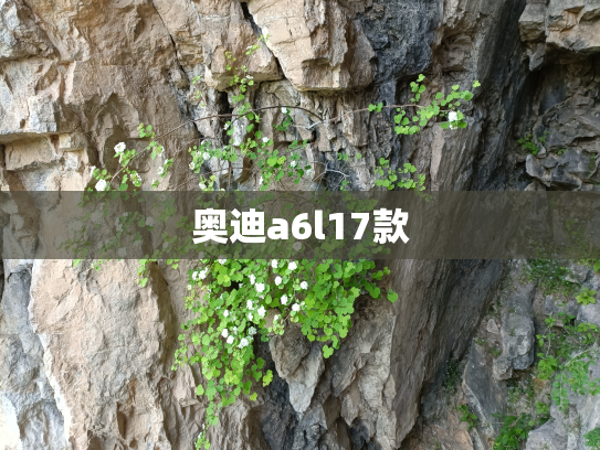 奥迪a6l17款