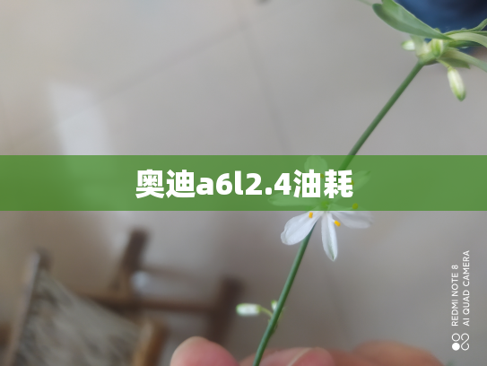 奥迪a6l2.4油耗