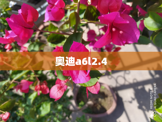 奥迪a6l2.4