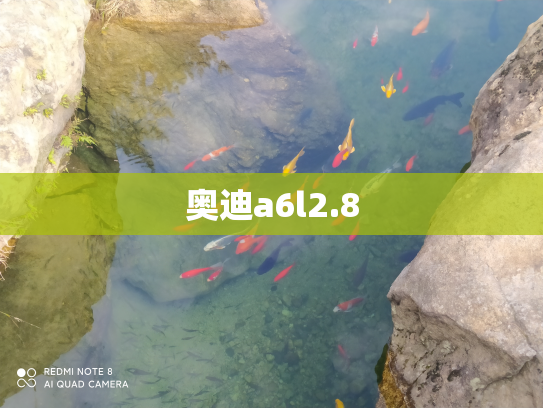 奥迪a6l2.8