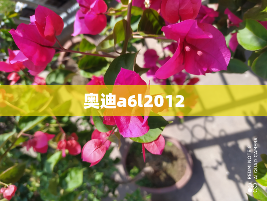 奥迪a6l2012