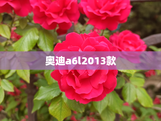 奥迪a6l2013款