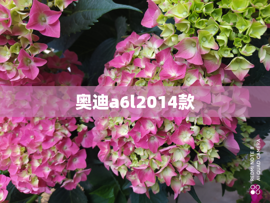 奥迪a6l2014款