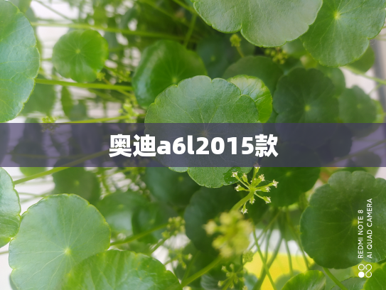 奥迪a6l2015款