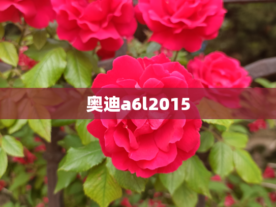奥迪a6l2015
