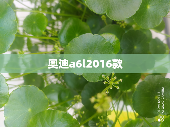 奥迪a6l2016款