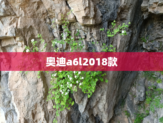 奥迪a6l2018款