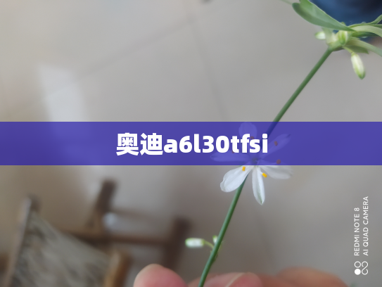 奥迪a6l30tfsi