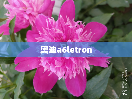 奥迪a6letron