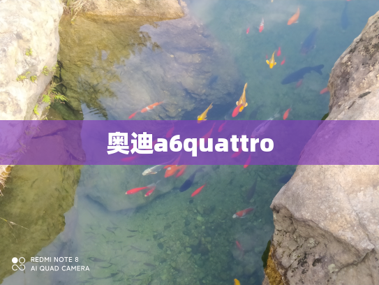 奥迪a6quattro