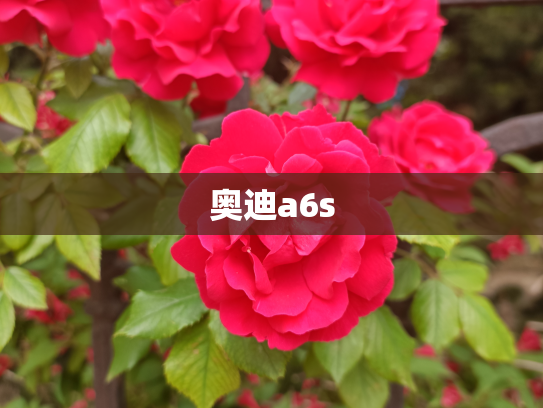 奥迪a6s