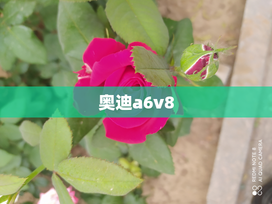 奥迪a6v8