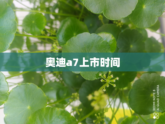 奥迪a7上市时间