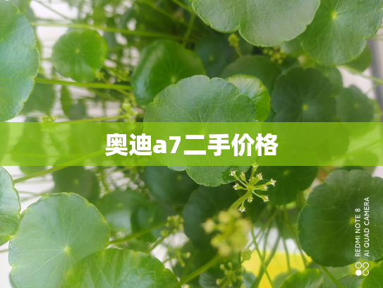 奥迪a7二手价格