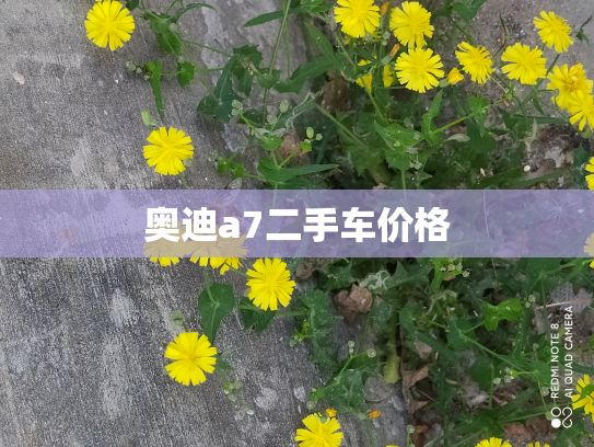 奥迪a7二手车价格