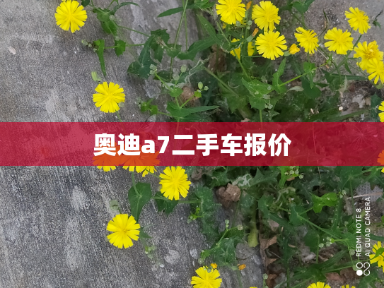 奥迪a7二手车报价
