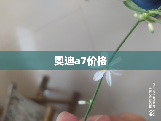 奥迪a7价格