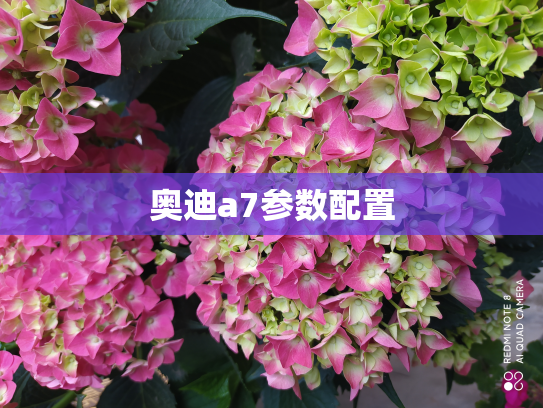 奥迪a7参数配置