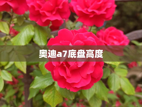 奥迪a7底盘高度