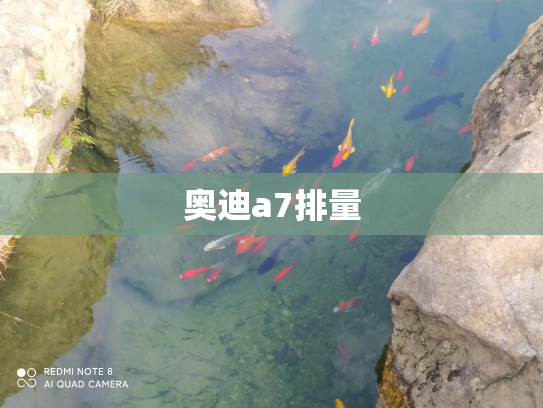 奥迪a7排量