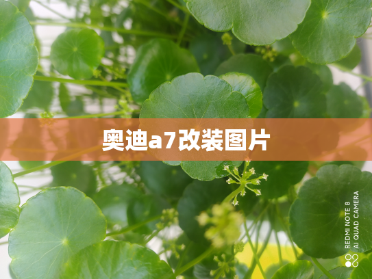 奥迪a7改装图片