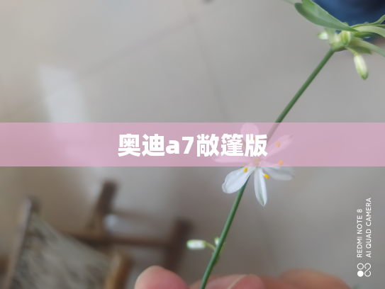 奥迪a7敞篷版
