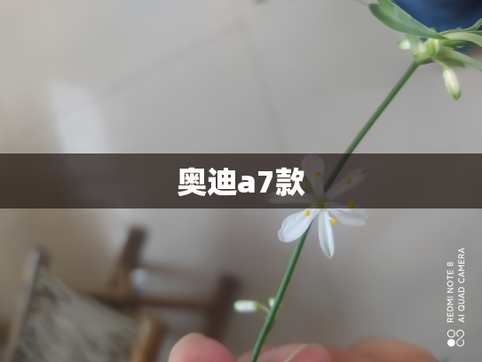 奥迪a7款