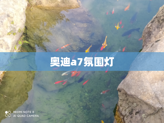 奥迪a7氛围灯