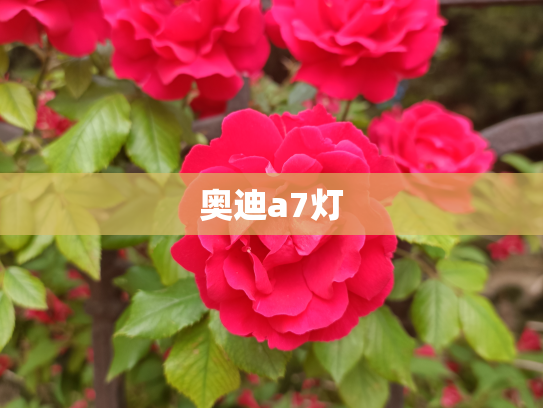 奥迪a7灯