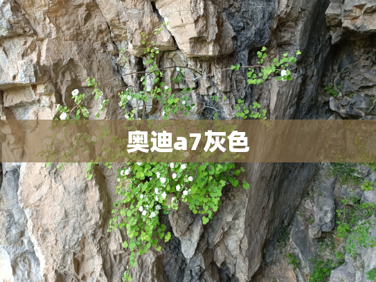 奥迪a7灰色