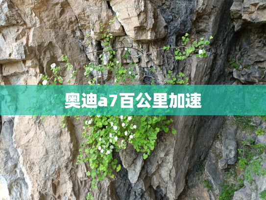 奥迪a7百公里加速