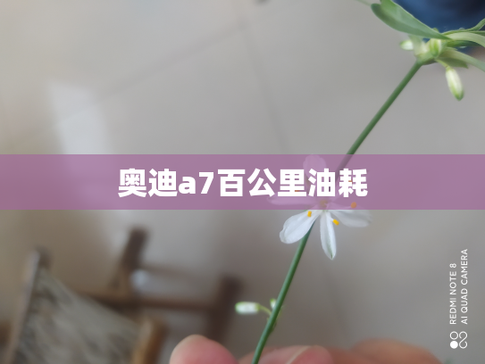 奥迪a7百公里油耗
