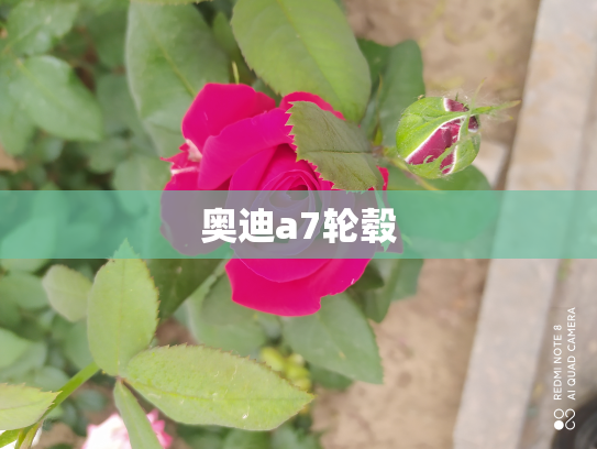 奥迪a7轮毂