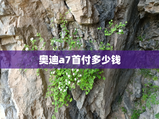 奥迪a7首付多少钱