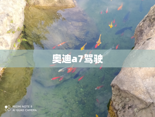 奥迪a7驾驶