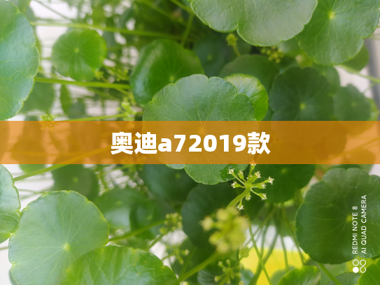 奥迪a72019款