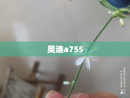 奥迪a755