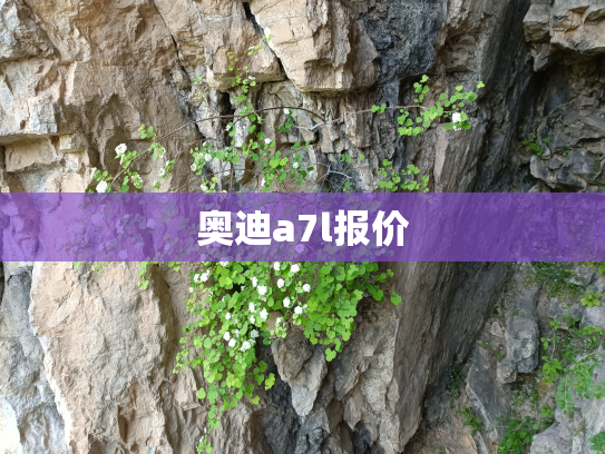 奥迪a7l报价