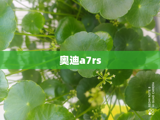 奥迪a7rs